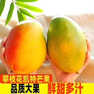 正宗攀枝花芒果凯特芒新鲜当季水果四川甜心青皮澳芒现摘大果整箱