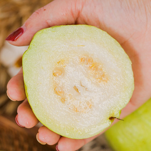 福建软糯白心芭乐黄金奶油芭番石榴新鲜水果源头直发顺丰 包邮
