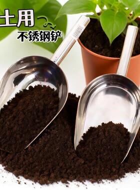 园艺工具不锈钢小铲子花铲铁锹铁