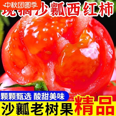 农家现摘露天沙瓤西红柿