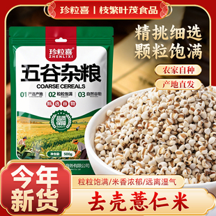 正宗薏仁米新鲜去壳薏米仁苡仁五谷杂粮薏米粥农家自产大薏仁米