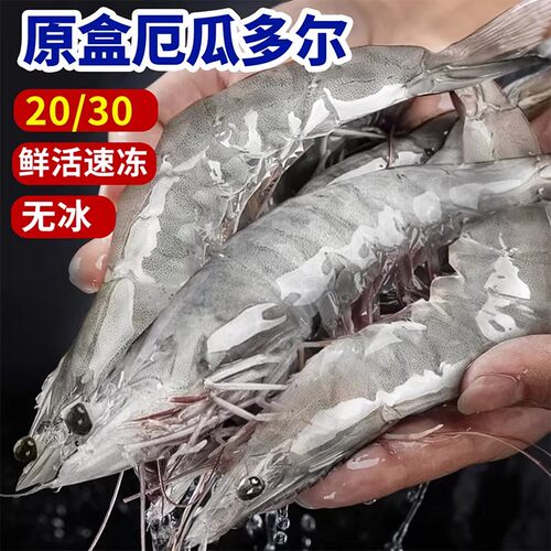 厄瓜多尔白虾大虾鲜活速冻盐冻2030南美白虾基围虾海虾对海鲜冷冻