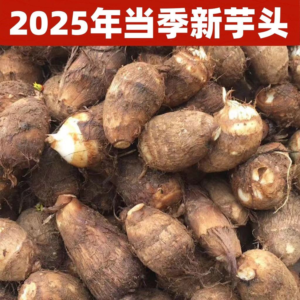 山东芋头牛奶小芋头新鲜毛芋头现挖奶油芋艿软糯丝滑当季蔬菜,水产肉类/新鲜蔬果/熟食,芋头,淘宝优惠券,粉丝福利购,淘宝优惠卷