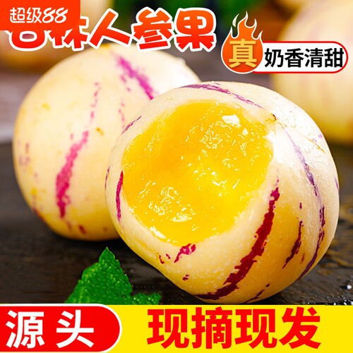 石林人参果树上熟风化石新鲜应季整箱果水果黄肉圆果包邮现摘源头