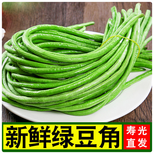 新鲜嫩豆角长豆角产地直发包邮