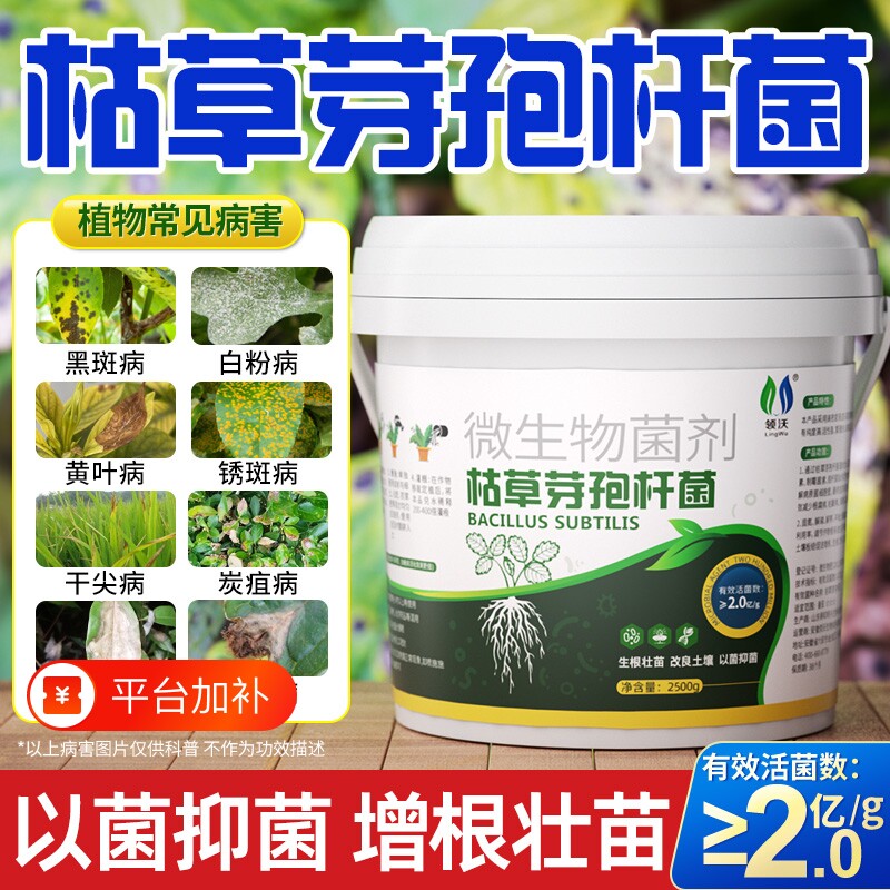 枯草芽孢菌杆菌旗舰店正品微生物菌剂月季桂兰花农用土壤有机肥料