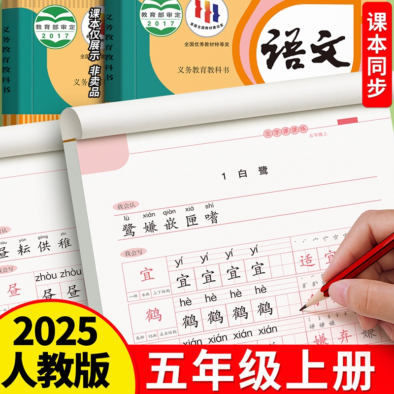 五年级上册同步练字帖人教版