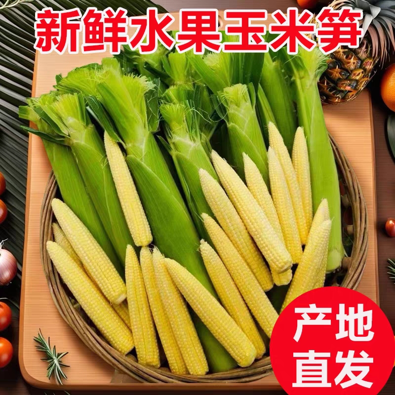 新鲜玉米笋串串专用麻辣烫火锅炒菜脆嫩迷你带皮苞谷玉米芯现发