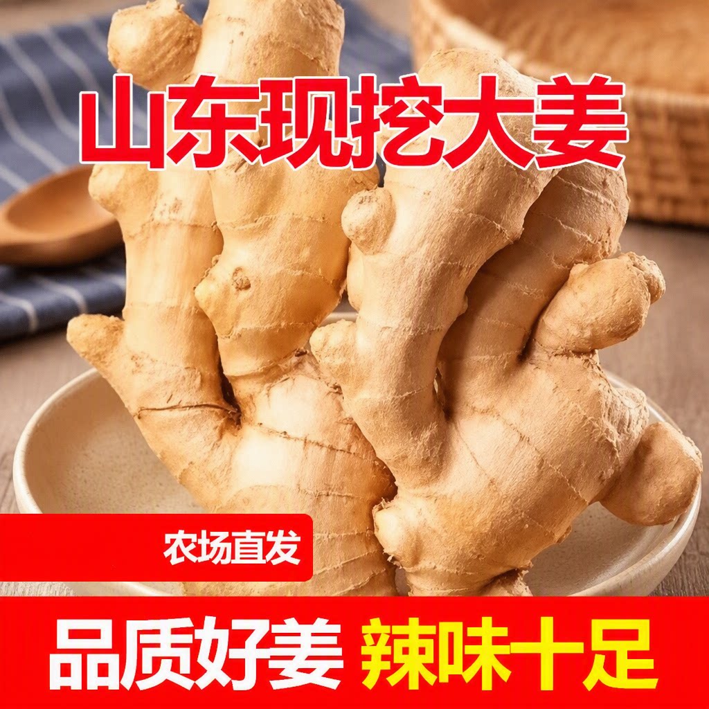 山东特产大黄姜新鲜无土辛辣味浓的生姜大块姜图片