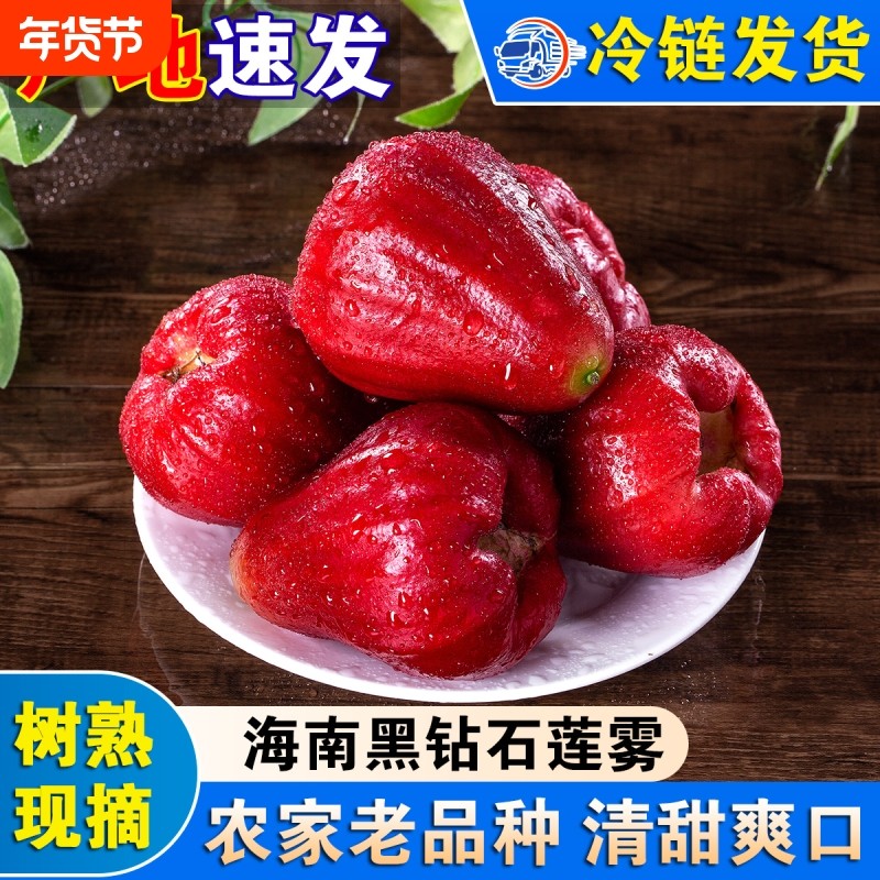 新鲜莲雾果整果水果,水产肉类/新鲜蔬果/熟食,莲雾,淘宝优惠券,粉丝福利购,淘宝优惠卷