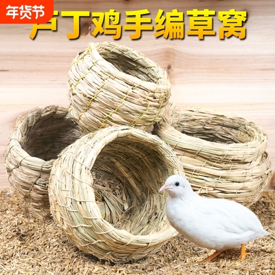 芦丁鸡窝草编鸡窝孵蛋下蛋草窝卢丁饲养箱专用鹌鹑窝保暖造景用品