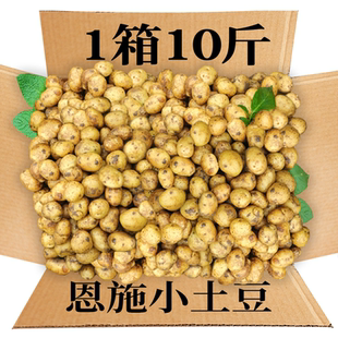 恩施小土豆新鲜富硒黄心小士豆商用迷你高山洋芋珍珠马铃薯