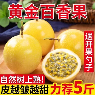 钦蜜9号黄金百香新鲜果树上自然熟当季水果天然黄金百香果甜包邮