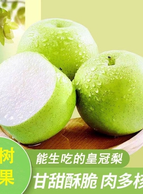 正宗皇冠梨砀山青梨9斤当季新鲜水果蜜早雪梨青皮梨子特产年货节