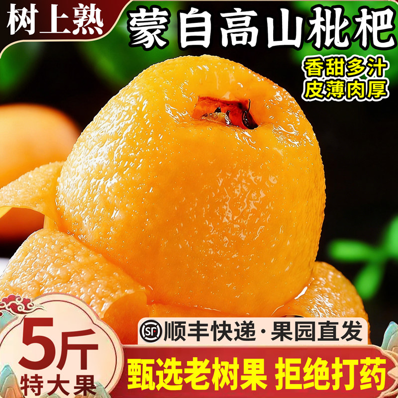 顺丰正宗云南蒙自枇杷5斤大果新鲜水果当季长虹琵琶现摘树熟整箱