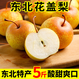 东北花盖梨5斤鞍山特产新鲜软梨子水果可做冻梨秋子梨