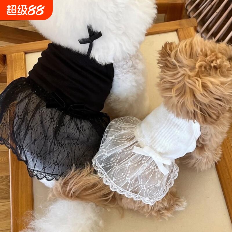 春夏款新品狗狗猫咪蕾丝吊带裙子泰迪博美贵宾比熊小型犬宠物衣服