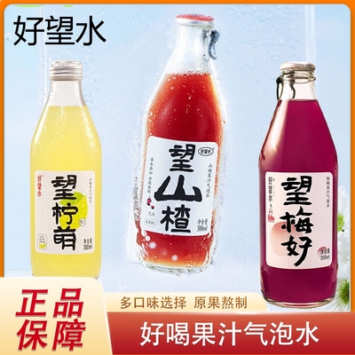好望水气泡水饮料望山楂杨梅橙功果汁汽水碳酸饮料整箱正品清爽