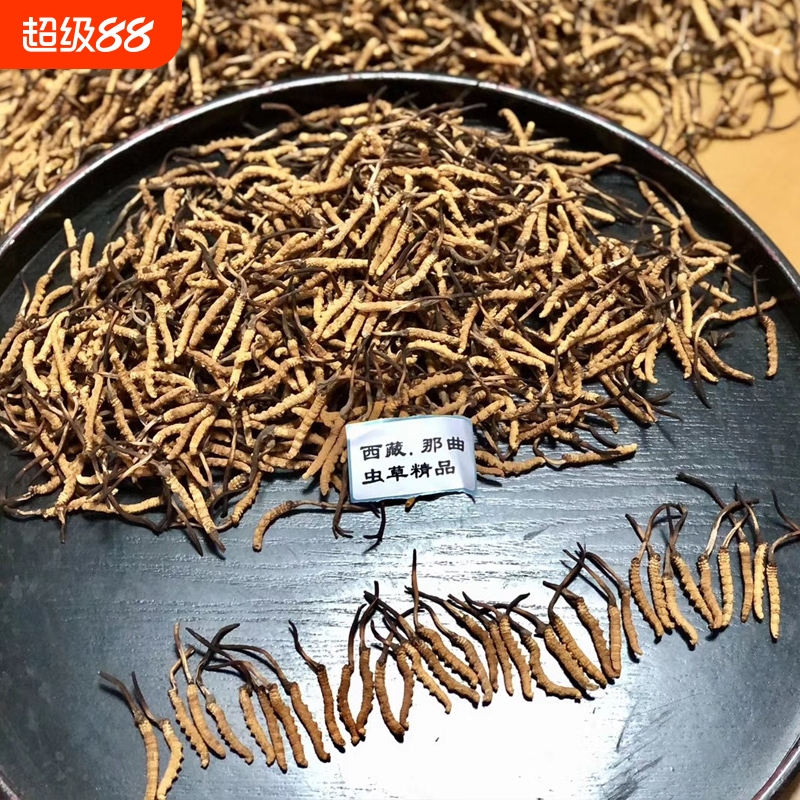 5西藏那曲野生小黄芽冬虫夏草虫草正品高海拔滋补价格药材保健
