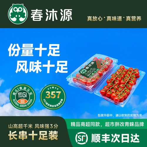 春沐源高原樱桃番茄串枝采摘新鲜直达一口爆汁圣女果零农残健康