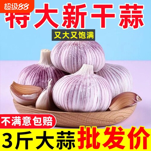 【大甩卖】山东紫皮大蒜头整箱新干蒜新鲜大蒜头特大果火锅料理