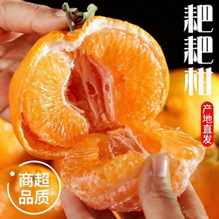 四川正宗粑粑柑新鲜橘子孕妇时令水果大果蜜橘爆甜多汁现摘发配送