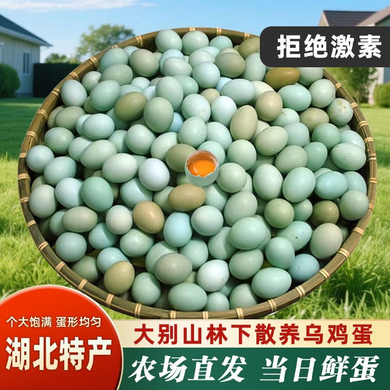 正宗乌鸡蛋大别山散养孕妇月子蛋初生蛋新鲜谷物蛋绿壳农家土鸡蛋