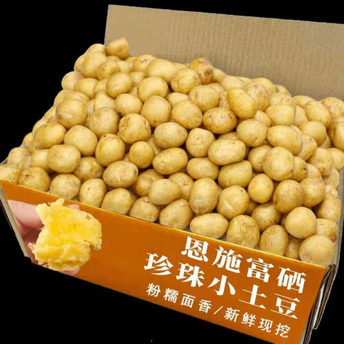新鲜恩施小土豆新鲜现挖