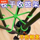 龟背竹支撑固定器倒伏春羽支架水培枝干花盆花卉绿植其它园艺用品