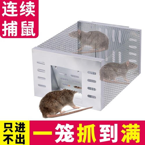 连续捕鼠老鼠笼一笼抓到满
