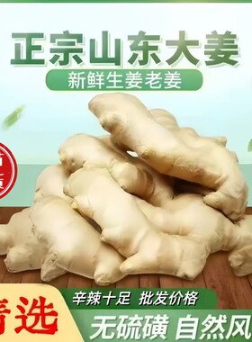 山东大姜新鲜老姜3斤/5斤产地直发水洗无泥风干纯正黄月子姜自提