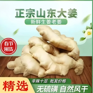 山东大姜新鲜老姜3斤/5斤产地直发水洗无泥风干纯正黄大姜月子姜