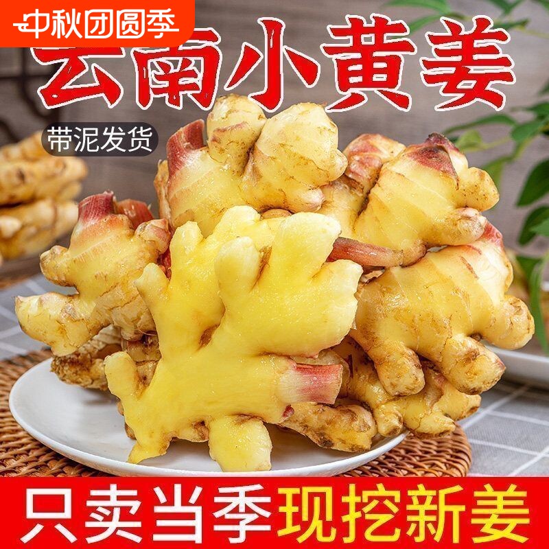 生姜老姜云南小黄姜3斤5斤9斤新鲜现挖高山沙姜土姜种子蔬菜食用图片