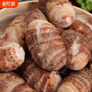 新鲜红芽芋头广西荔浦红芽芋现挖现发软糯香甜农家自种巴马红芽芋