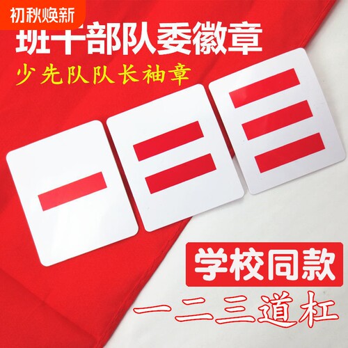 小学生班干部标志队长袖标臂章