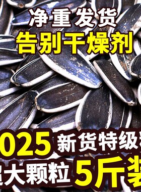 2025新货葵花籽大颗粒原味五香炒熟生瓜子5斤批发零食新鲜现炒
