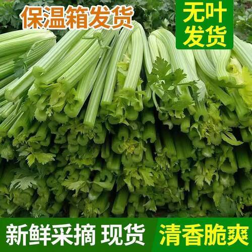 新鲜山东榨汁西芹凉拌凉拌