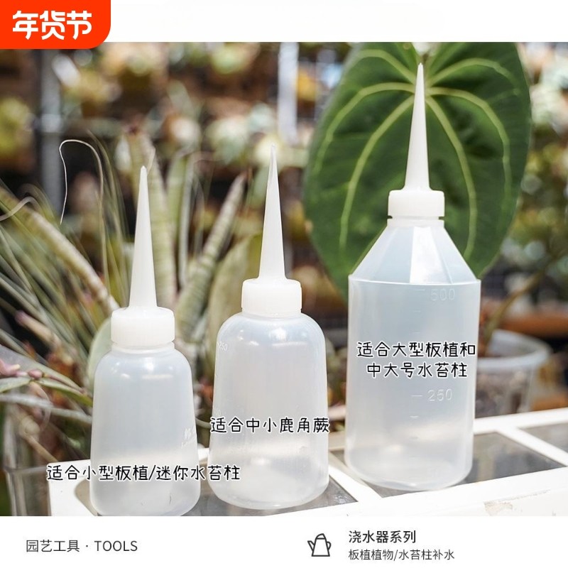 鹿角蕨浇水神器补水植柱插植物滴水自动蕨 浇水神器浇灌水苔直板,鲜花速递/花卉仿真/绿植园艺,其它园艺用品,淘宝优惠券,粉丝福利购,淘宝优惠卷