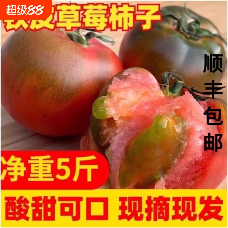 正宗铁皮草莓柿子新鲜当季西红柿生吃水果东北番茄顺丰包邮现摘