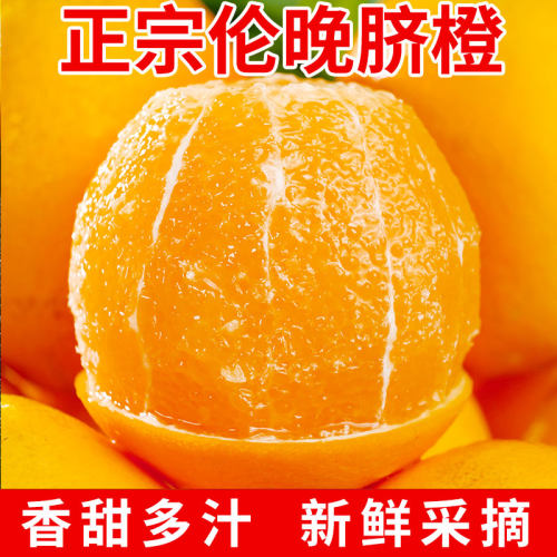 正宗伦晚橙子当季新鲜橙子现摘甜橙应季水果批发整箱春橙冰糖甜橙