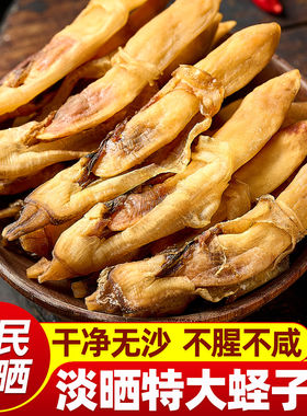 淡晒特大蛏子干干货500g无沙竹节蛏肉干海鲜鲜活水产蒜蓉新鲜食用