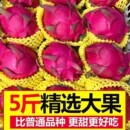 新鲜水果红肉一整箱批发价 正宗广西金都一号红心火龙果超甜应季