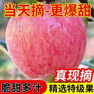 正宗山西冰糖心丑苹果新鲜红富士水果脆甜苹果当季整箱多汁带箱