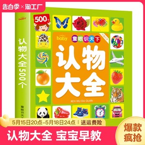 幼儿园看图识字0-3学龄前早教