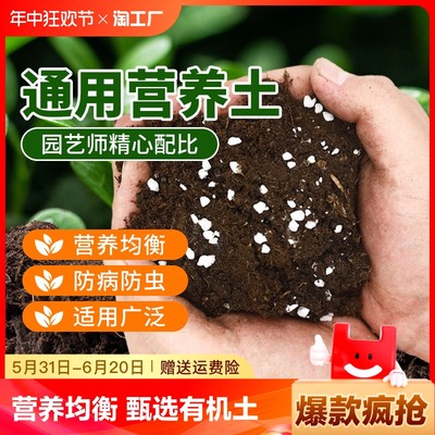 营养土养花种花种菜通用专用泥土