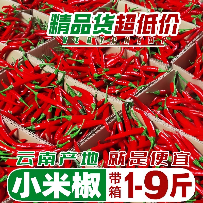 云南新鲜小米辣完整装当季现摘蔬菜火锅干锅香料农家直供9斤包邮