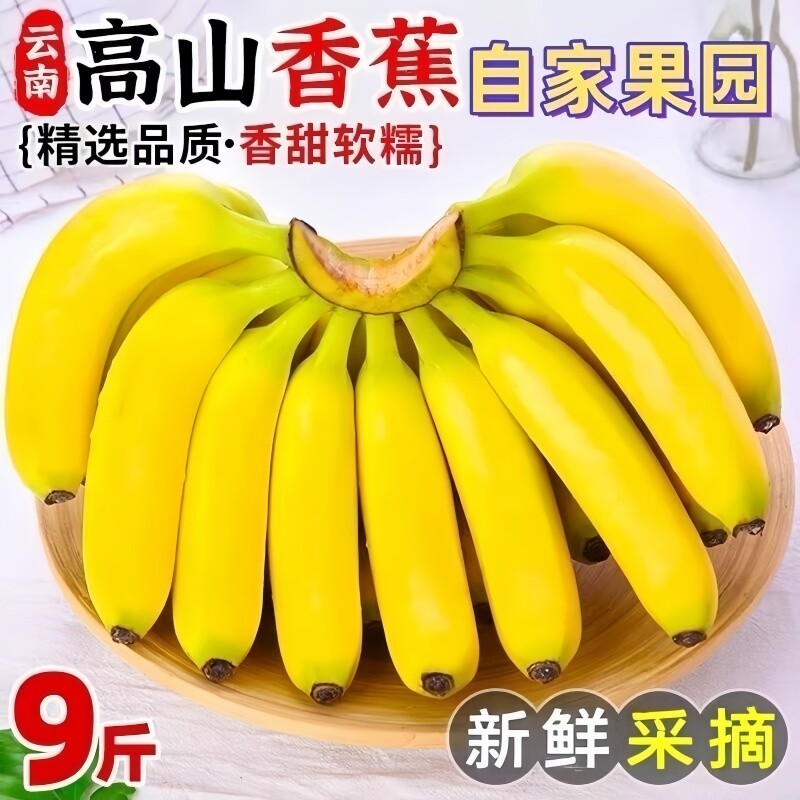 云南香蕉高山大香蕉现摘新鲜水果甜生青香蕉自然熟5斤9斤