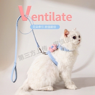 猫咪牵引绳可调节遛猫绳子可爱幼猫外出专用胸背带小型犬宠物用品