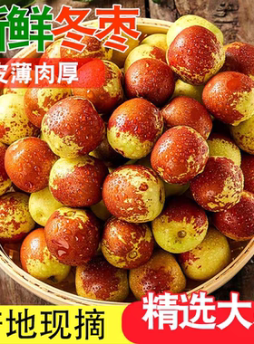 正宗陕西大荔冬枣新鲜应当季水果大枣青枣整箱5斤枣子包邮现摘