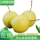 正宗山西雪花梨煮冰糖雪梨水整箱脆甜多汁新鲜水果梨子